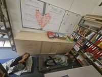 5dd06117-3e29-4ff4-b5be-cb8a4d781a91