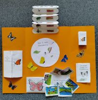 07fc6582-2163-4917-8eed-4f679efeee8c