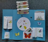 2063546c-d00d-451c-8482-fd4f9922c097