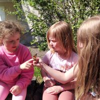 371f7209-af28-4da9-aac8-37b8421df4d6