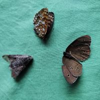 3d45d2a6-00b5-4690-8459-1d5b0a4cce0e