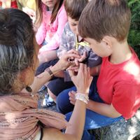 3e66d87c-b2f2-43c5-a365-2559a50f8f98