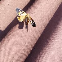 4d23e7f5-f78f-4055-b87c-2dd86ad83c6d