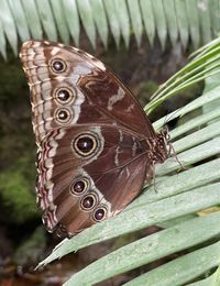 1a8c98a5-8445-4a48-b6c4-08d21b261ee7