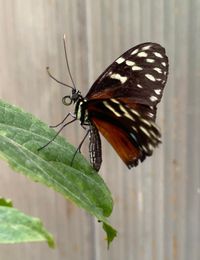 2cbfa9e8-9a30-42ab-b1f2-dbf74085432c