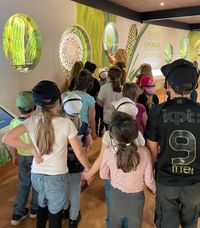 45feda38-695b-4f6c-be0b-ac0e1300cb45