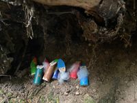 e7e655fe-881d-4e71-b230-06526b1e060b