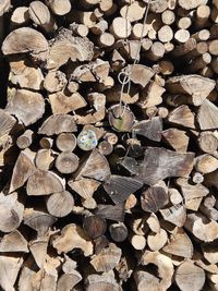 c80a60aa-56e7-40ad-a5f6-423c66208e7e