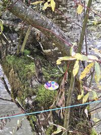 d8846df7-7821-4d24-b4d1-8838c777034c