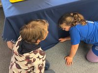 IMG_3036
