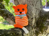 IMG_3493