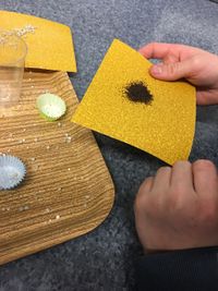 IMG_5266