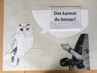 IMG_5448