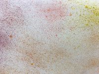 IMG_8660