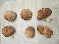 1eec84c2-da09-4611-95be-2d6f793019e6