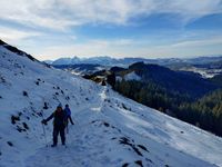 50ae6e0e-1e1b-49d8-a94f-2c899ad8bd33